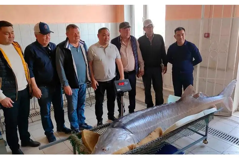 Балықшылар 200 келі қортпа аулап алды
