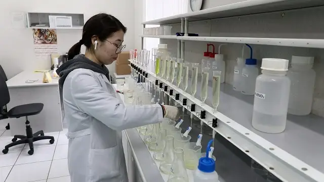 Көпмақсатты реактордың жұмысы және дәрі-дәрмек пен асыл тас... 