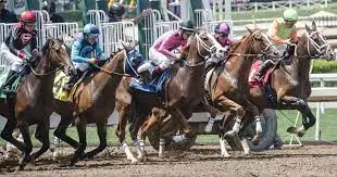 Елімізде алғаш рет Qazaq jockey сlub құрылды