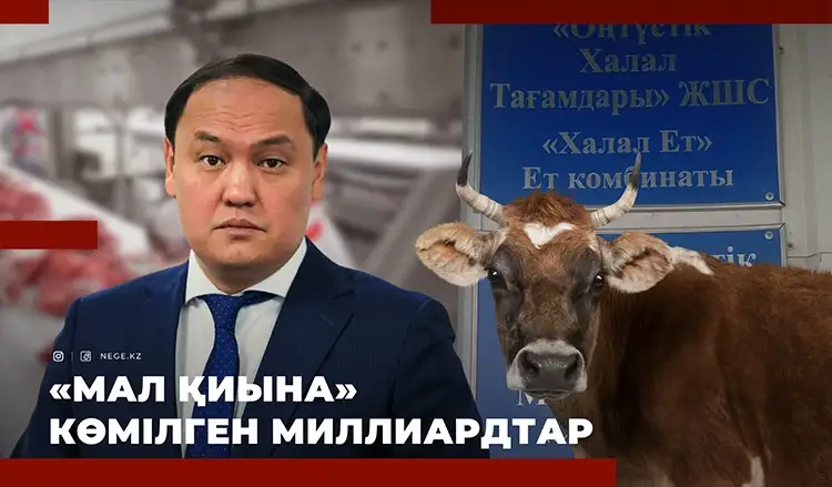 Жамбылдықтар әкімін НЕГЕ жақтырмай жүр?