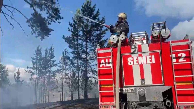 Абай облысының Бородулиха ауданындағы орман өрті сөндірілді