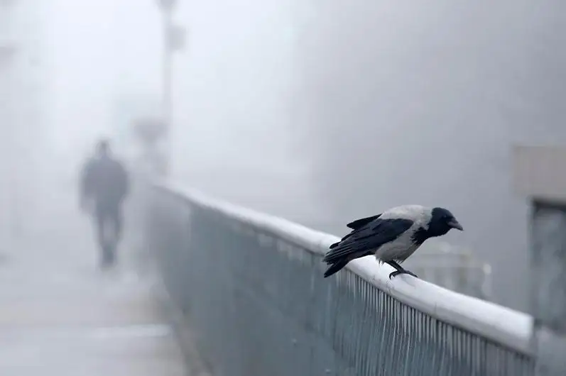 Бүгін кей жерде тұман, жел, көктайғақ болады