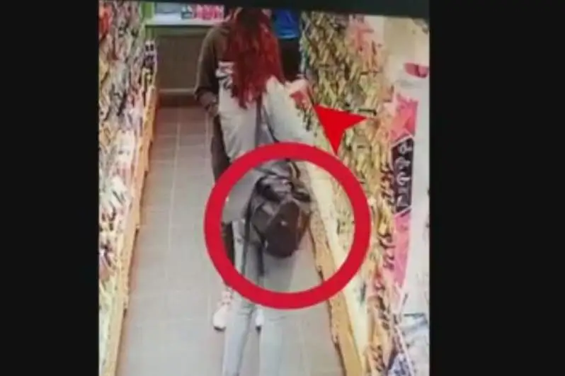 Апалы-сіңлілі ұрылар ұсталды