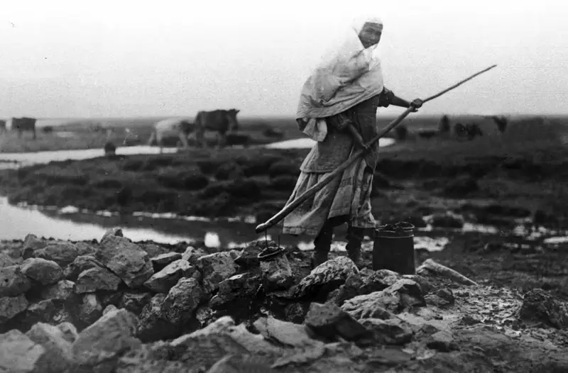 Бөріхан Нұрмұхамед: Мұндай зұлматты сырттан келген басқа халықтар жасаған жоқ