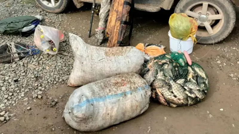 Хромтау тұрғыны заңсыз балық аулаған