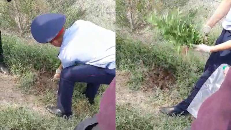 Есірткі сатқан және сақтаған Қызылорда облысының тұрғыны ұсталды  