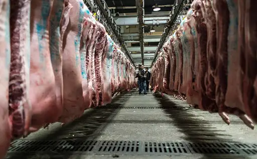 Бүкіл әлемді етпен қамтамасыз ете аламыз!