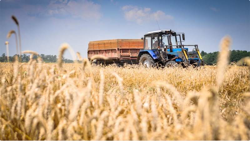 «Ауыл – Ел бесігі»: Республикадағы 3,5 мың ауылдық елді мекенді жаңғырту жұмыстары жүріп жатыр
