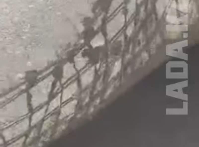 Маңғыстау облысында жолға асфальт кілем төселгені туралы видео тарады