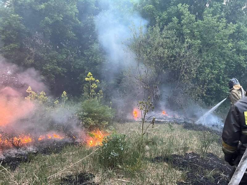 Абай облысындағы өрт кезінде орман шаруашылығының 14 қызметкері жоғалып кетті