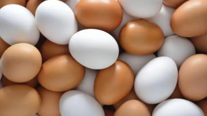 Жұмыртқаның шекті бағасы ұзартылды 