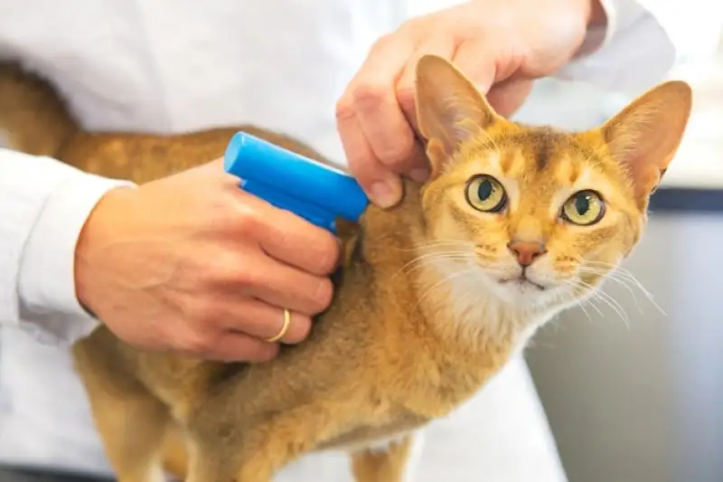 Алматы әкімдігі кімді мазақ еткісі келеді? 