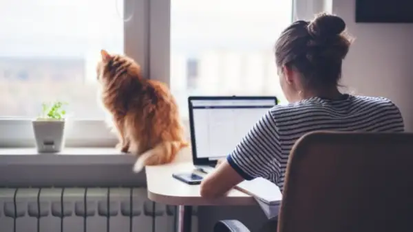 Білім және ғылым министрлігінің шенеунігі жауапқа тартылды