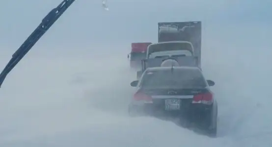 Шенеуніктер: Қытайдан келген техникалар көмектеспейді