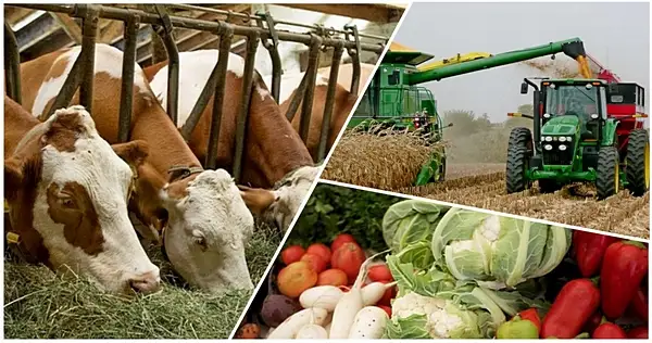 Ауыл шаруашылығындағы өндіріс 2,4% өскен