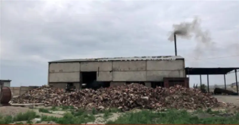 Балық сүйегінен ұн өндіретін зауыт жабылуы мүмкін 