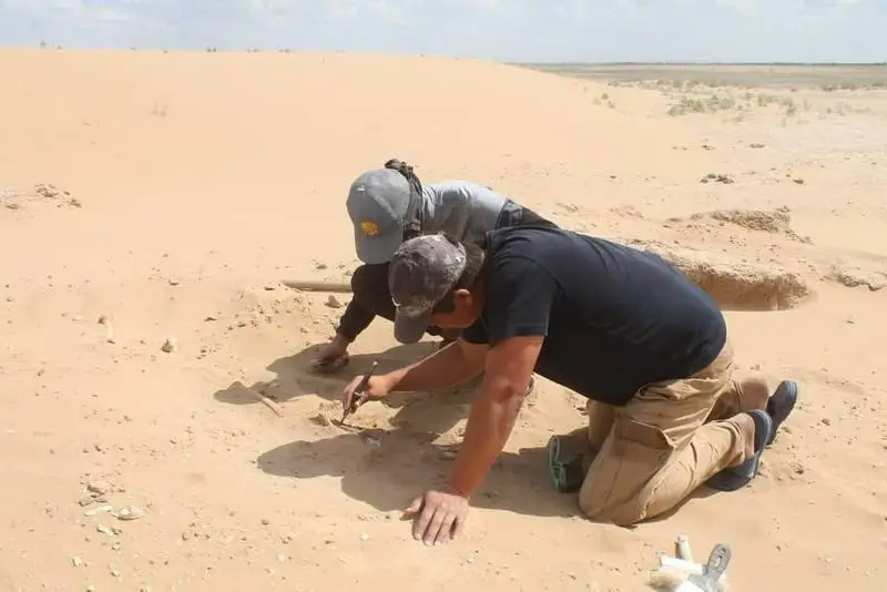 Ақтөбедегі Қаздыарал тұрағында қола дәуірінің жәдігері табылды 