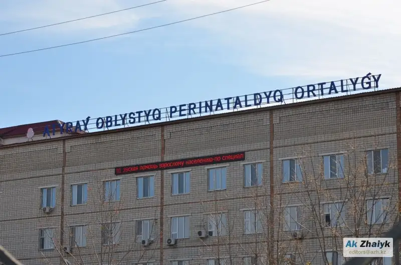 Жаңа туған нәрестені еденге түсіріп алған, тергеу жүріп жатыр