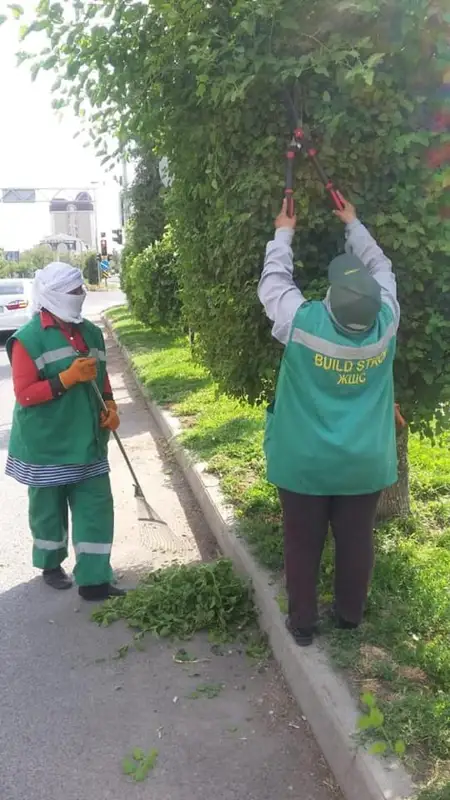 Әл-Фараби ауданында көгалдандыру жұмыстары кестеге сай жүргізілуде