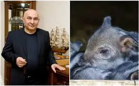 Бестамақтағы шошқа фермасының иесі тұрғындарға жауап берді