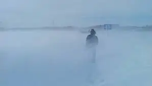 Жамбыл облысында 60-тан астам адам қар құрсауынан құтқарылды