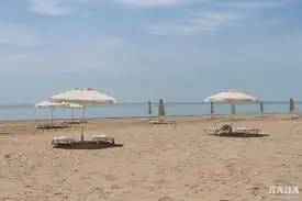 Жағажайда танысқан әйел бүйрегін беруге келіскен 
