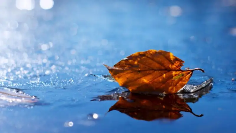 Еліміздің алты облысында ескерту жарияланды