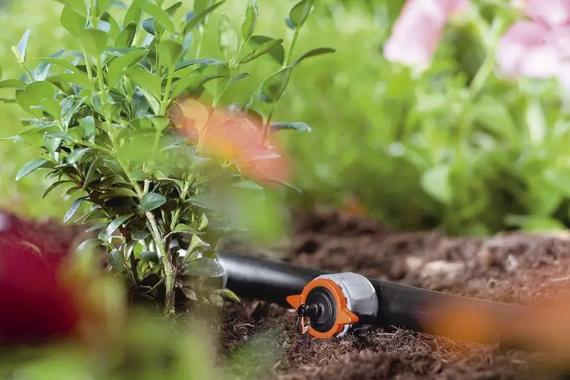 Мектеп оқушысы тамшылатып суару қондырғысын жасап шығарды