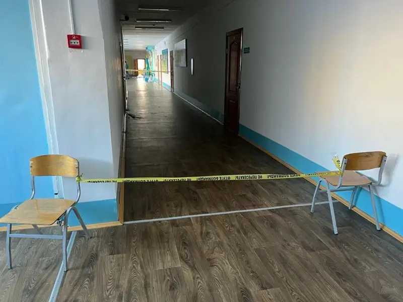 Петропавлда сыныптастарын балтамен жаралаған оқушы екі айға қамауға алынды
