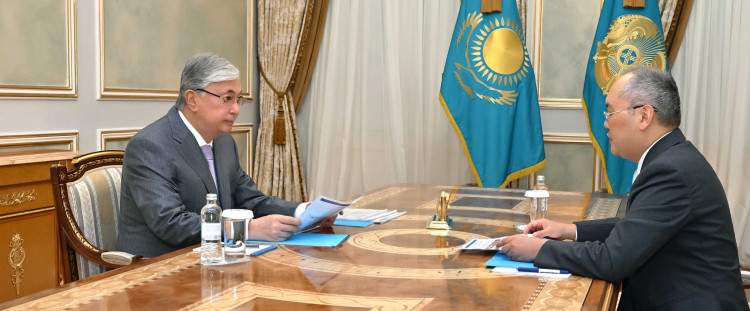 Тоқаев Қаржылық мониторинг агенттігінің төрағасы Жанат Элимановты қабылдады