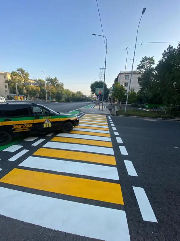 Шымкентте 215 шақырым жол таңбасы сызылды