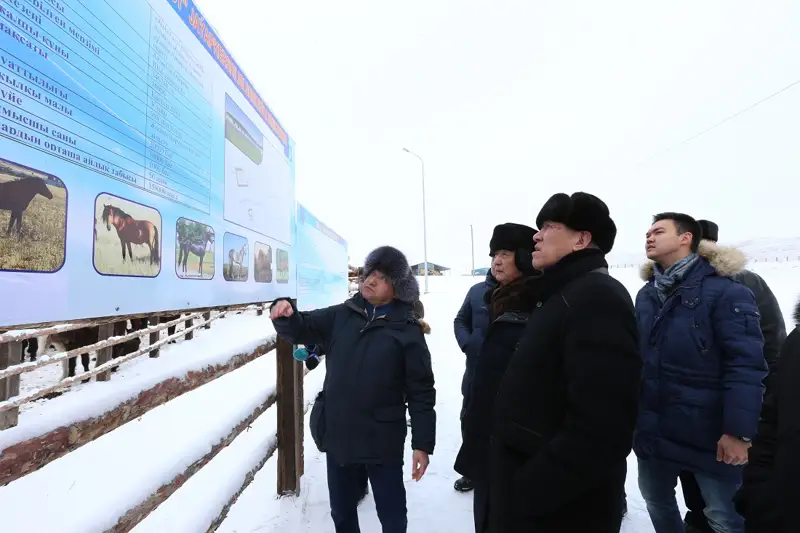 Алакөлдің еті нарыққа түсті