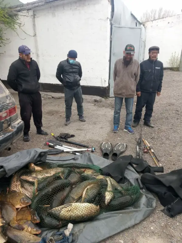 Карантин кезінде балық аулағандар ұсталды