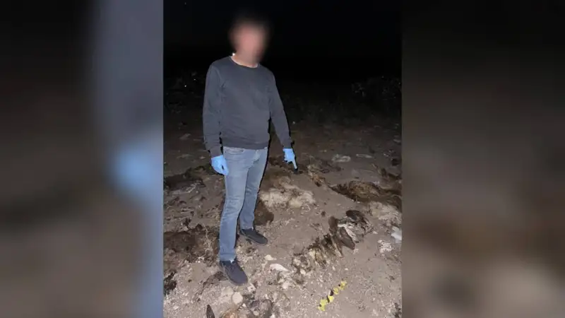 Ақмола полицейлері 7 млн теңгенің малын ұрлаған күдіктілерді ұстады
