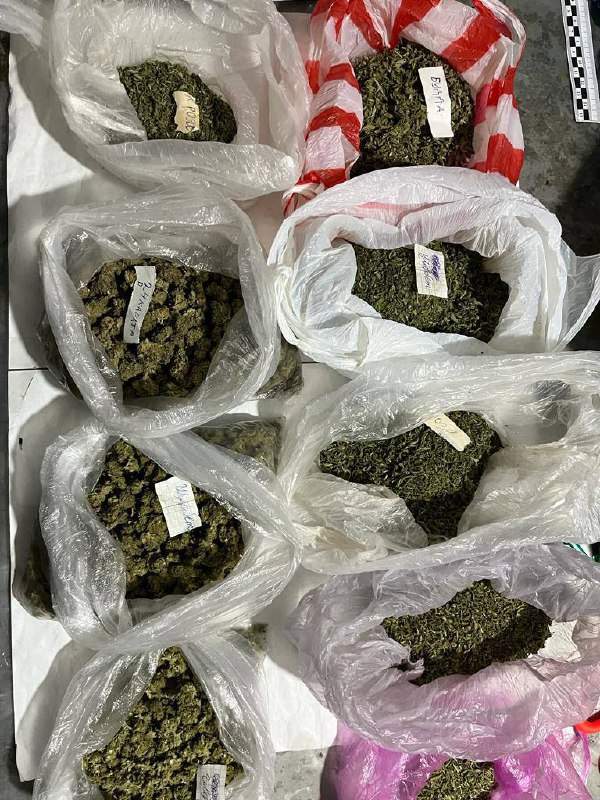 Жамбыл облысында  марихуана сақтаған 55 жастағы ер адам ұсталды