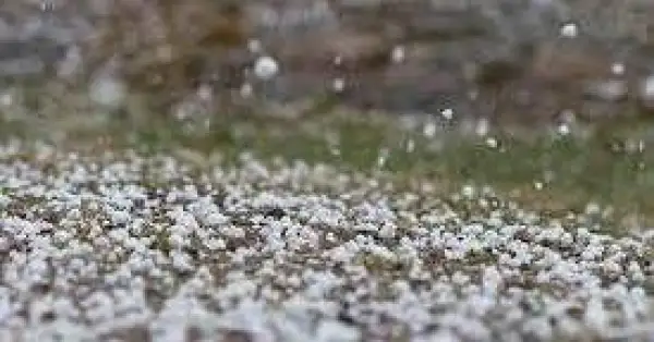 Бірқатар өңірде бұршақ аралас жауын жауады 