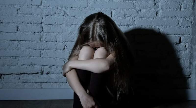 9 жастағы қызды зорлау фактісі бойынша Абай облысының полициясында сотқа дейінгі тергеу басталды 