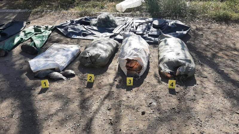 Павлодар облысында заңсыз балық аулаған тұрғын ұсталды 