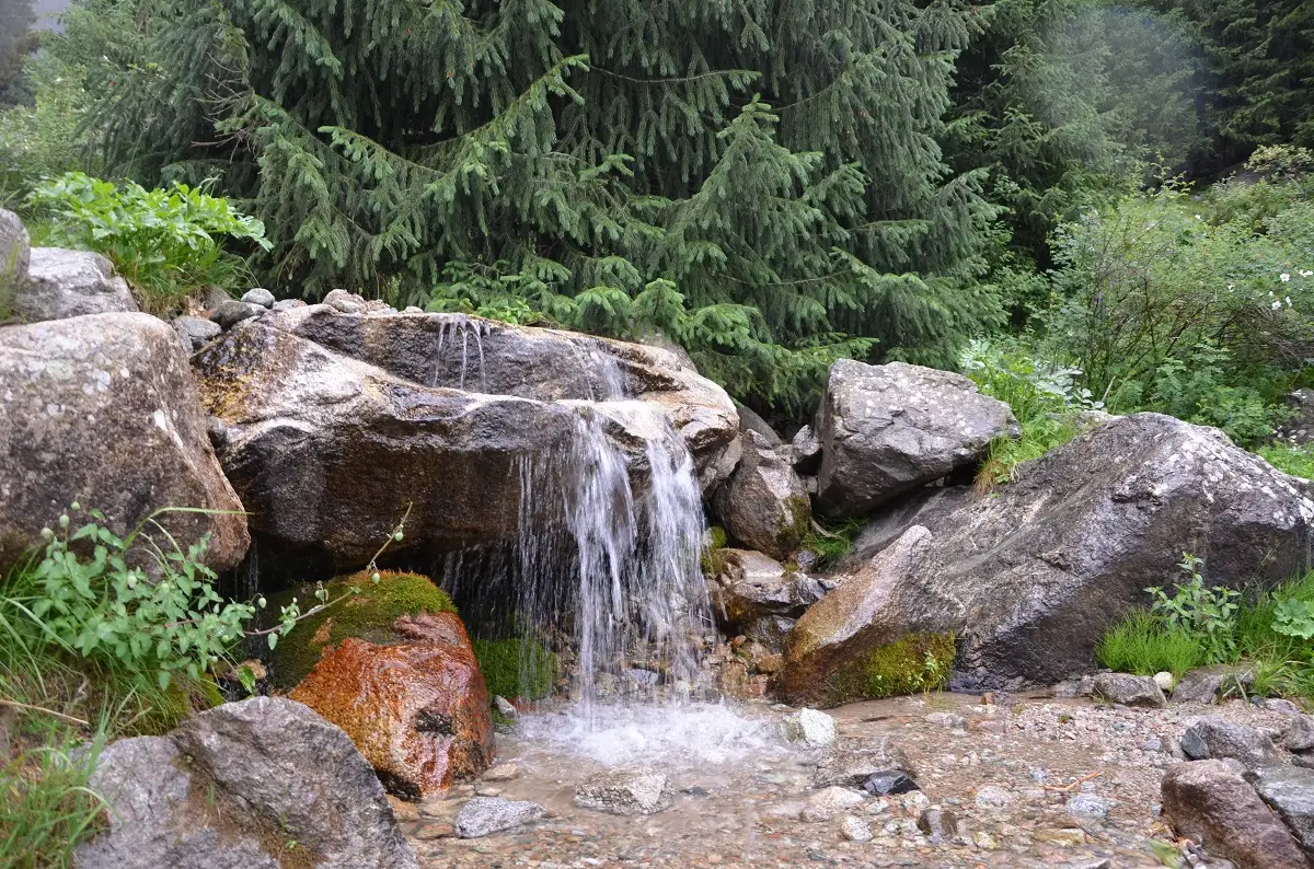 Сексуалдық видео loshd