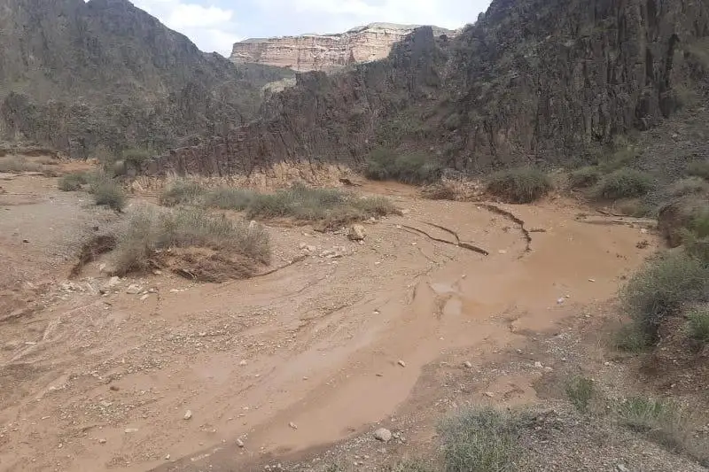 Шарын шатқалындағы қайғылы жағдай бойынша екі қылмыстық іс қозғалды 