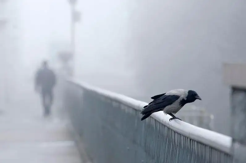 «Қазгидромет» ескерту жариялады