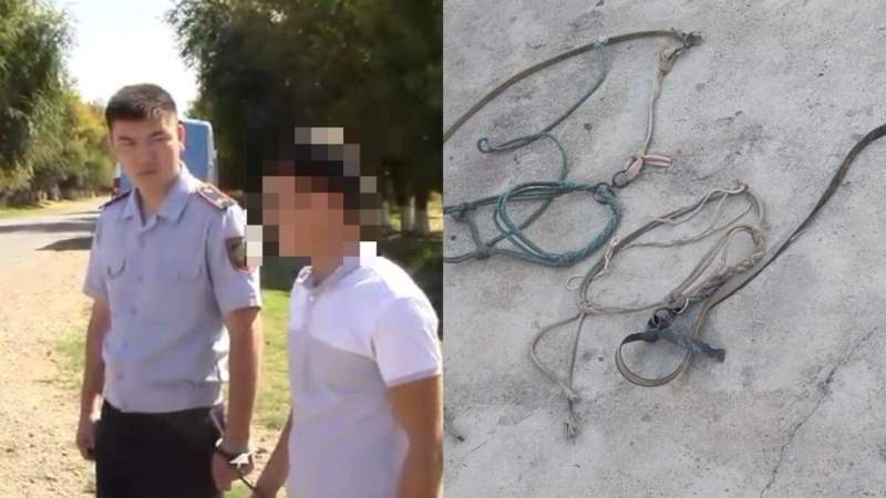 Түркістан облысында мал ұрлауды кәсіп қылған екі ер адам ұсталды