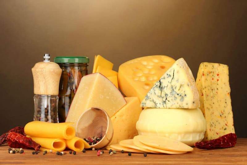 Шымкентте күніне 25 тонна сүт өңдейтін цех ашылды