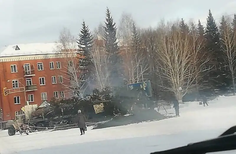 Бас шыршаны бұзып әкетті