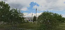 Ағаштарды кескені үшін Қарағандыда аудан әкімінің орынбасарына сөгіс жарияланды