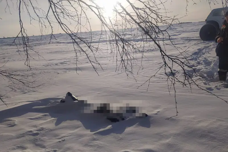 СҚО-да жоғалған балықшының денесі табылды