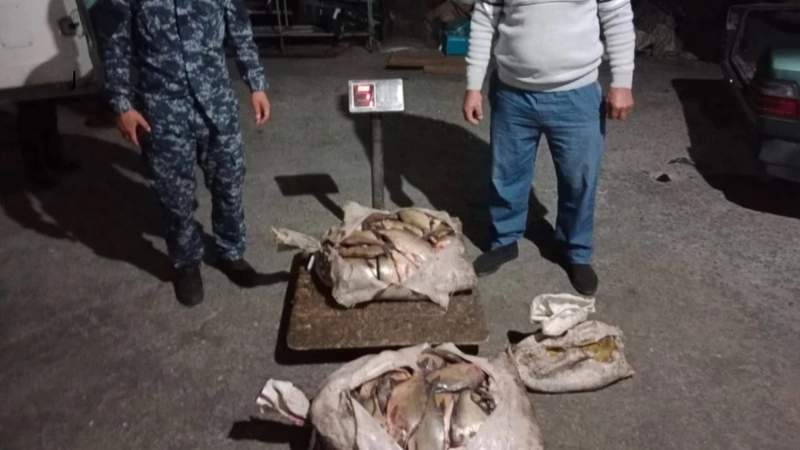 Заңсыз балық аулаған Жетісу тұрғыны қолға түсті