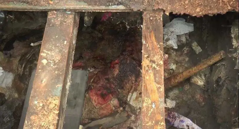 Алматыда әжетханадан табылған нәрестенің жағдайы белгілі болды