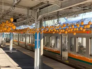 Құрма – коронавирустың жауы