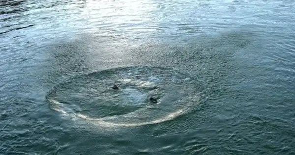 29 жастағы жігіт суға батып кетті